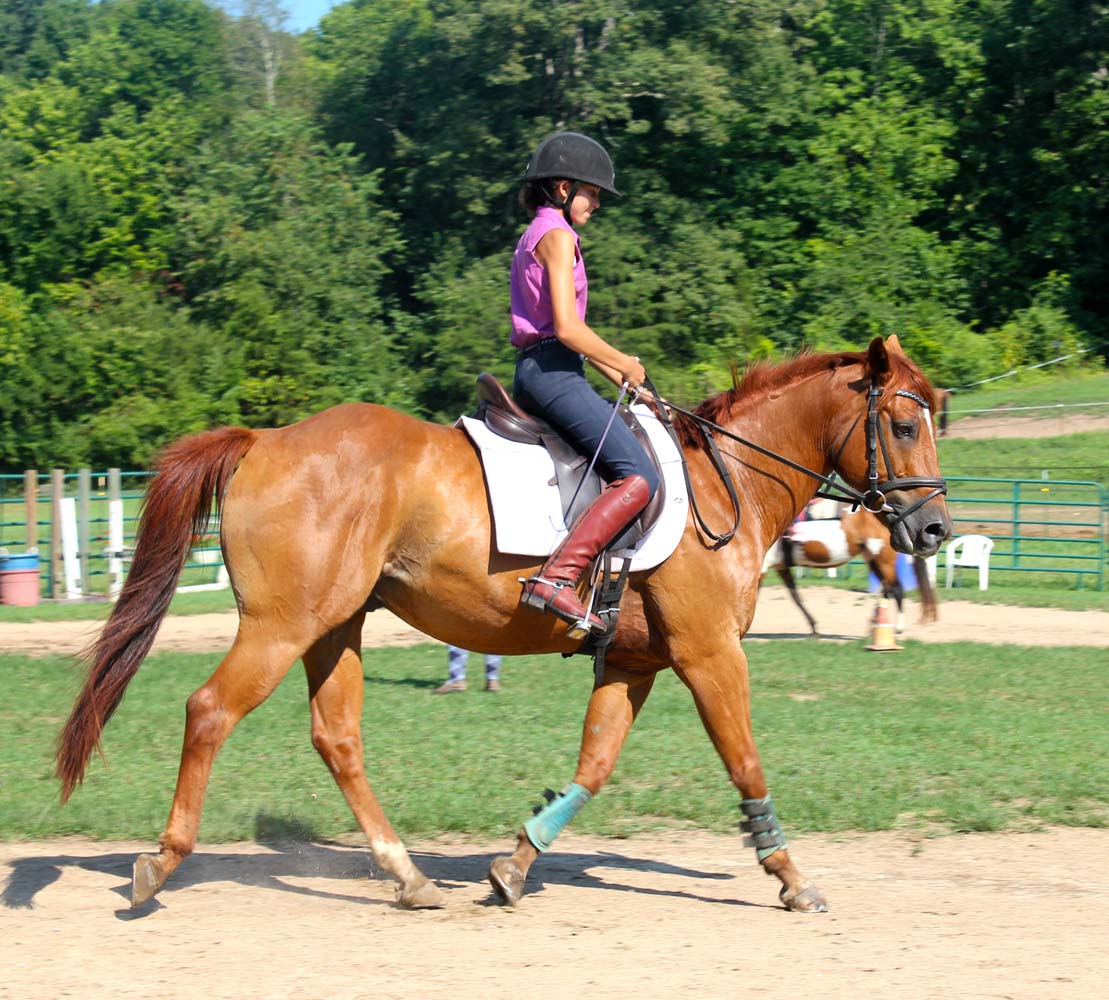 English Horseback Riding Lessons - Riding Instructor in 