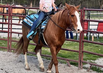 Horse Riding Lessons Miller Hollow Farm Clinton TN